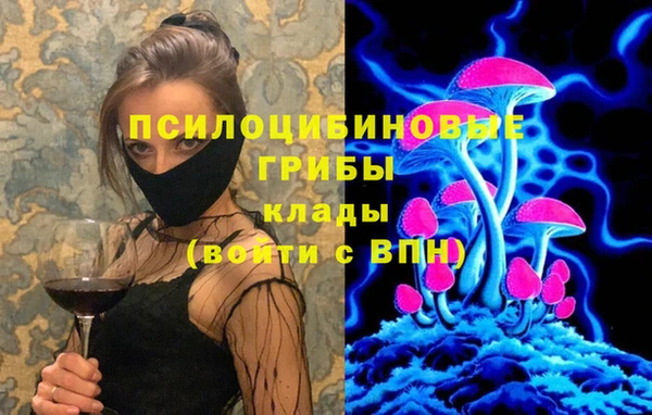 метадон Няндома