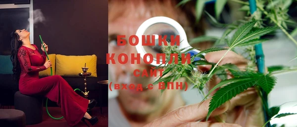 крисы Нягань