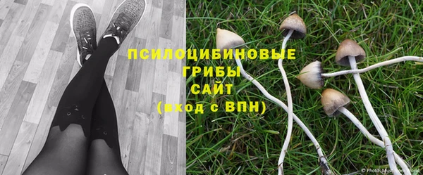 кокс Абдулино
