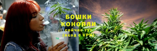 крисы Нягань