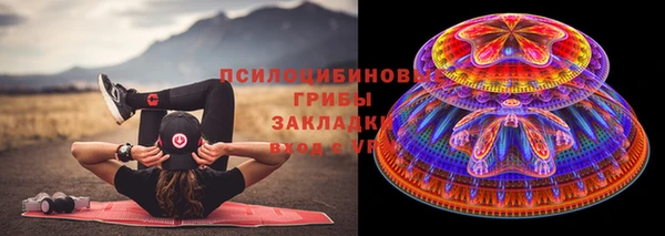 сатива Зеленодольск